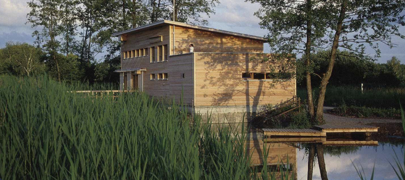 Jahresthema / Projektwoche